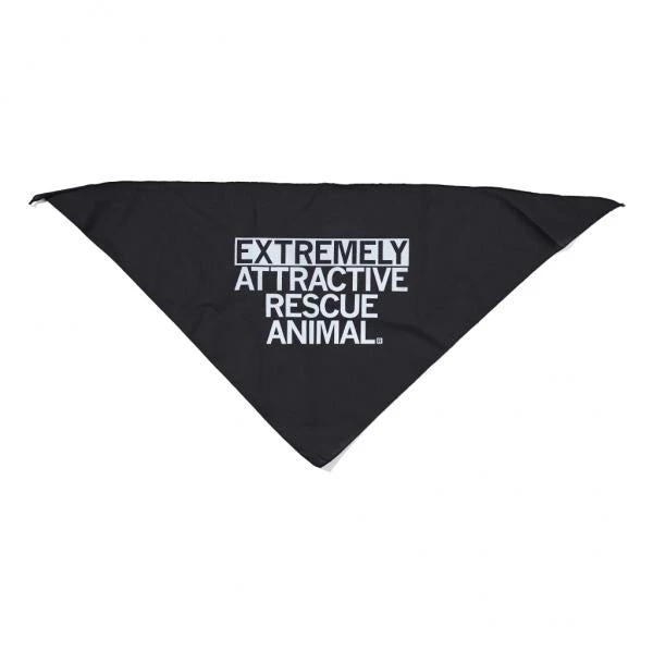 Extremely Attractive Dog Bandana 4 Extremely Attractive Dog Bandana - Image 2