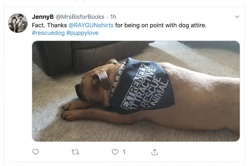 Extremely Attractive Dog Bandana 6 Extremely Attractive Dog Bandana - Image 4