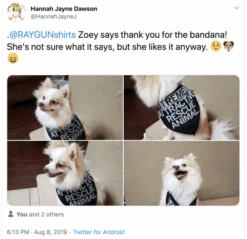 Extremely Attractive Dog Bandana 11 Extremely Attractive Dog Bandana -Raygunsite Store 17492 5d4d8499efa384.57116873 Screen 20Shot 202019 08 09 20at 207.57.45 20AM large bfe849a8 66e9 4d2b a4c9 25ce0900c93e