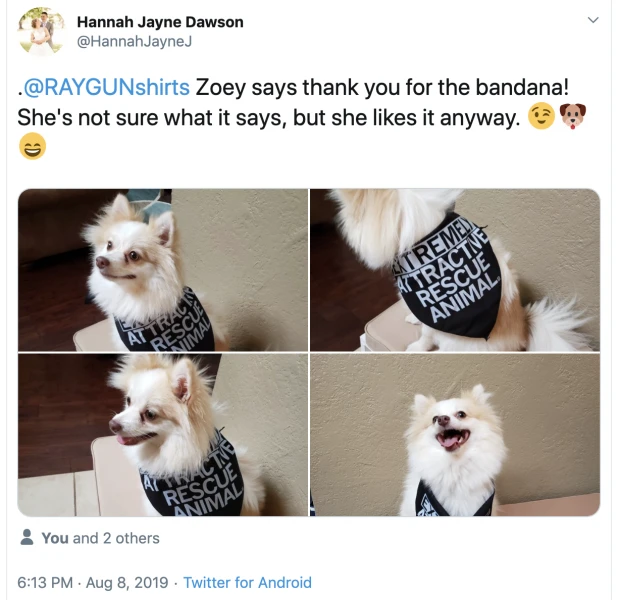 Extremely Attractive Dog Bandana 7 Extremely Attractive Dog Bandana - Image 5