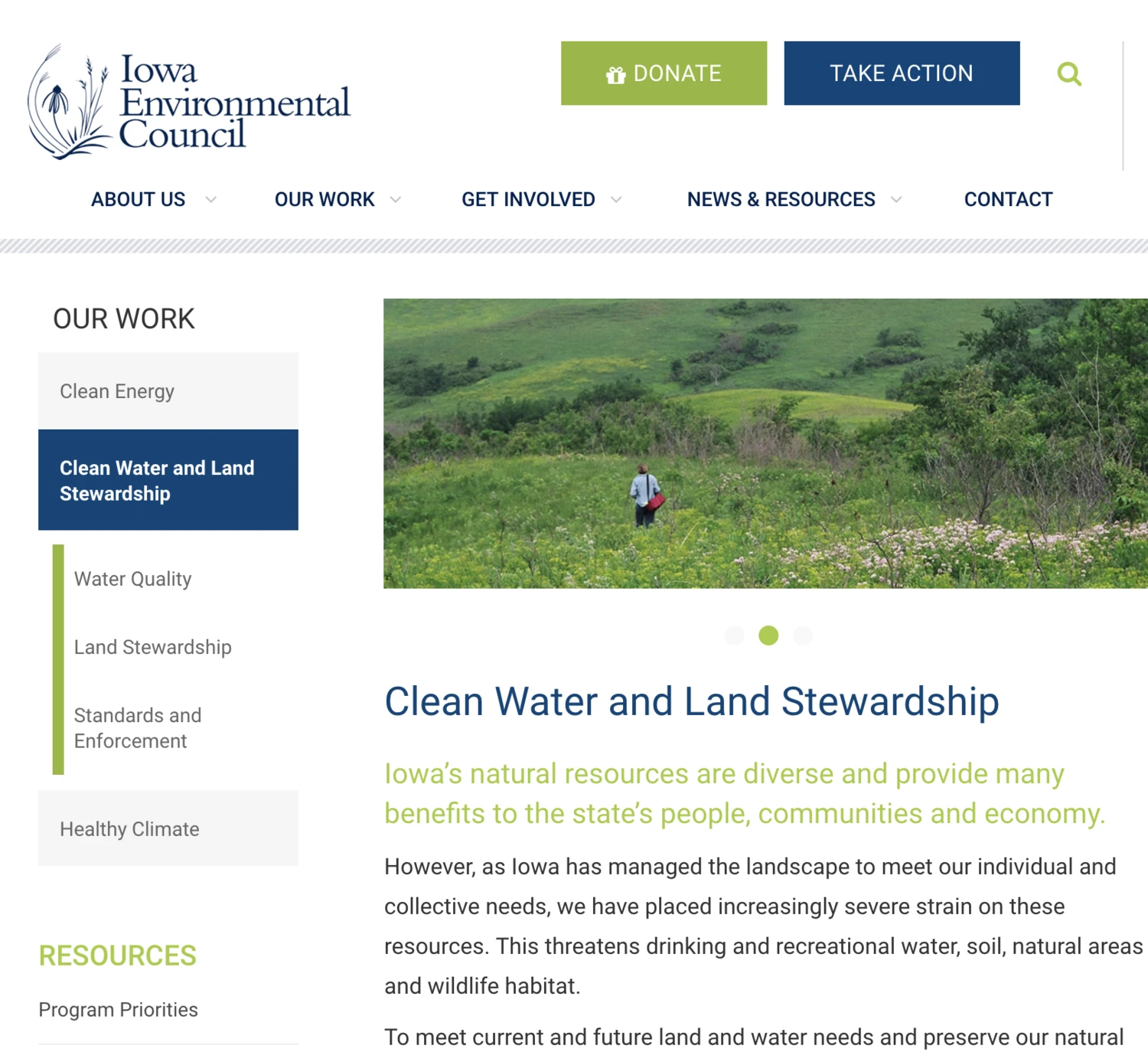 Thank A Pollinator 7 Thank A Pollinator - Image 5