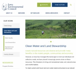 Midwestern Pollinators -Raygunsite Store 2nd