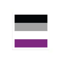 Asexual Pride Flag Mini Square Sticker
