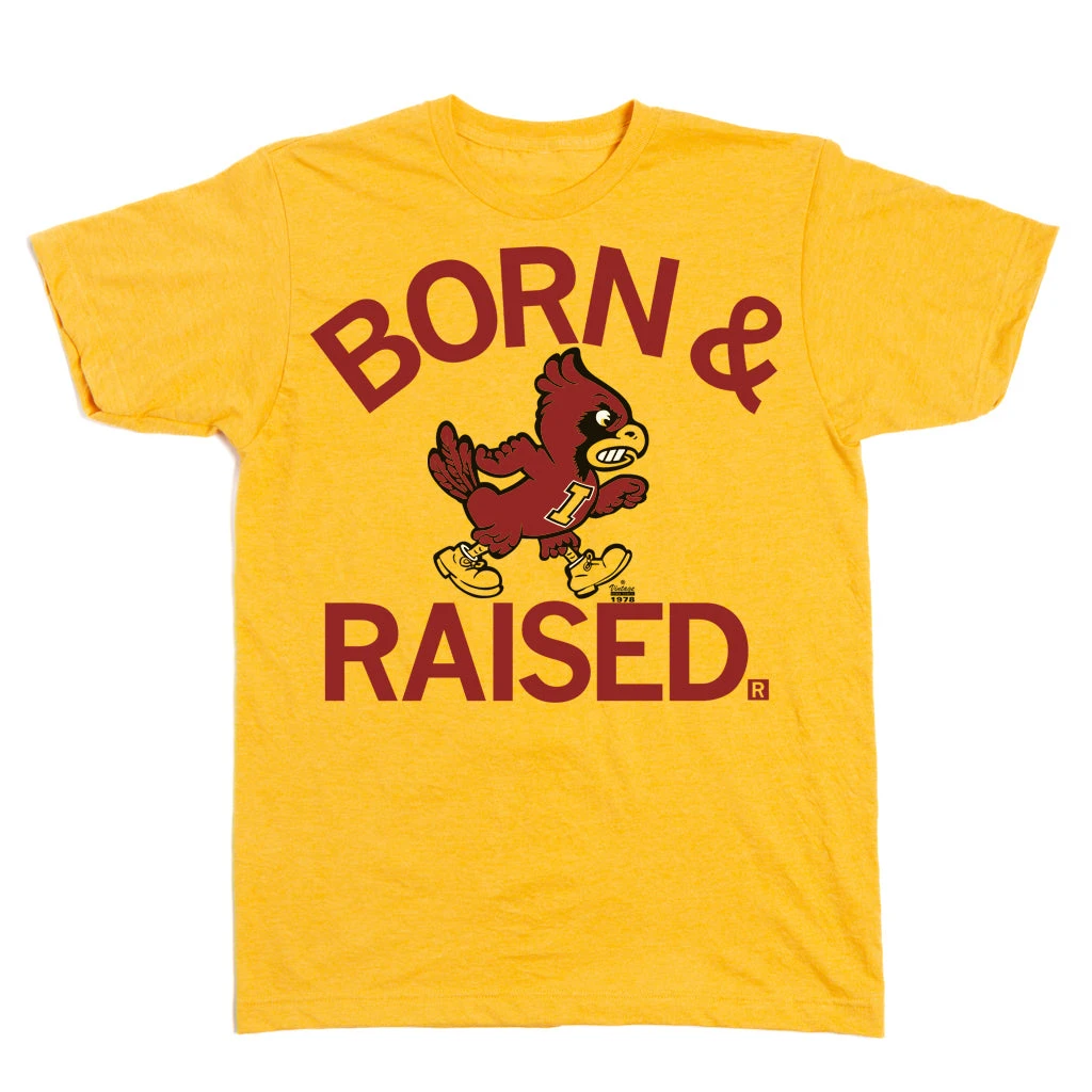 Cyclones Born & Raised Vintage Gold 4 Cyclones Born & Raised Vintage Gold - Image 2