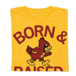 Cyclones Born & Raised Vintage Gold