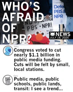 Who's Afraid Of NPR -Raygunsite Store CongressvotestodefundNPR
