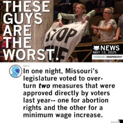 Democracy Dies In Missouri -Raygunsite Store DemocracyDiesinMissouriInfoPost