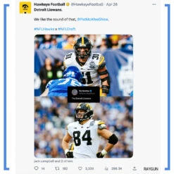 Detroit Liowans -Raygunsite Store DetroitLiowansRAYGUNinfopost