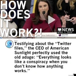 Everything Looks Like A Conspiracy -Raygunsite Store EverythingLookslikeaconspiracyarticle