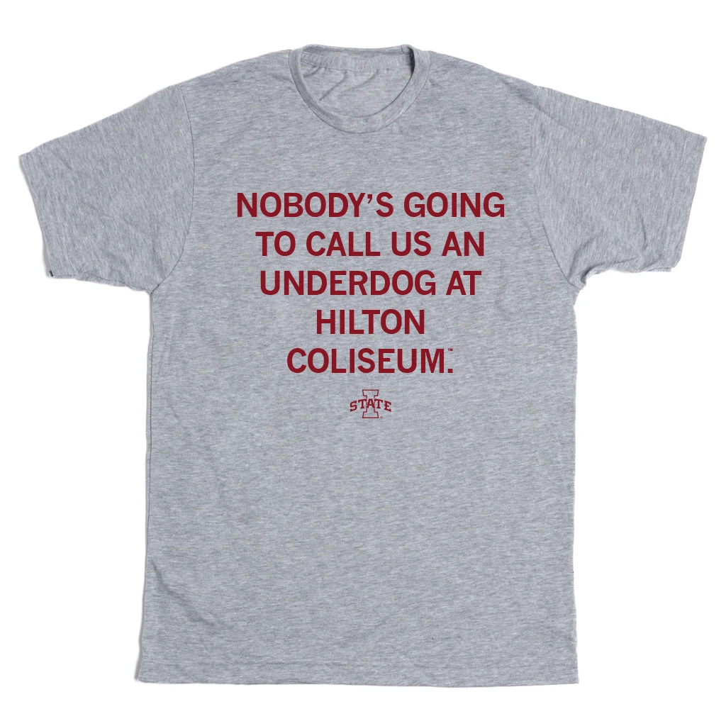 Underdog At Hilton Grey 4 Underdog At Hilton Grey - Image 2