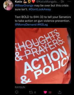 Action & Policy -Raygunsite Store IMG 1057