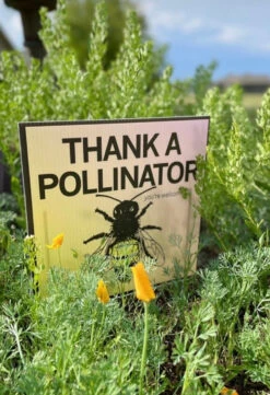 Thank A Pollinator Yard Sign -Raygunsite Store IMG 1851