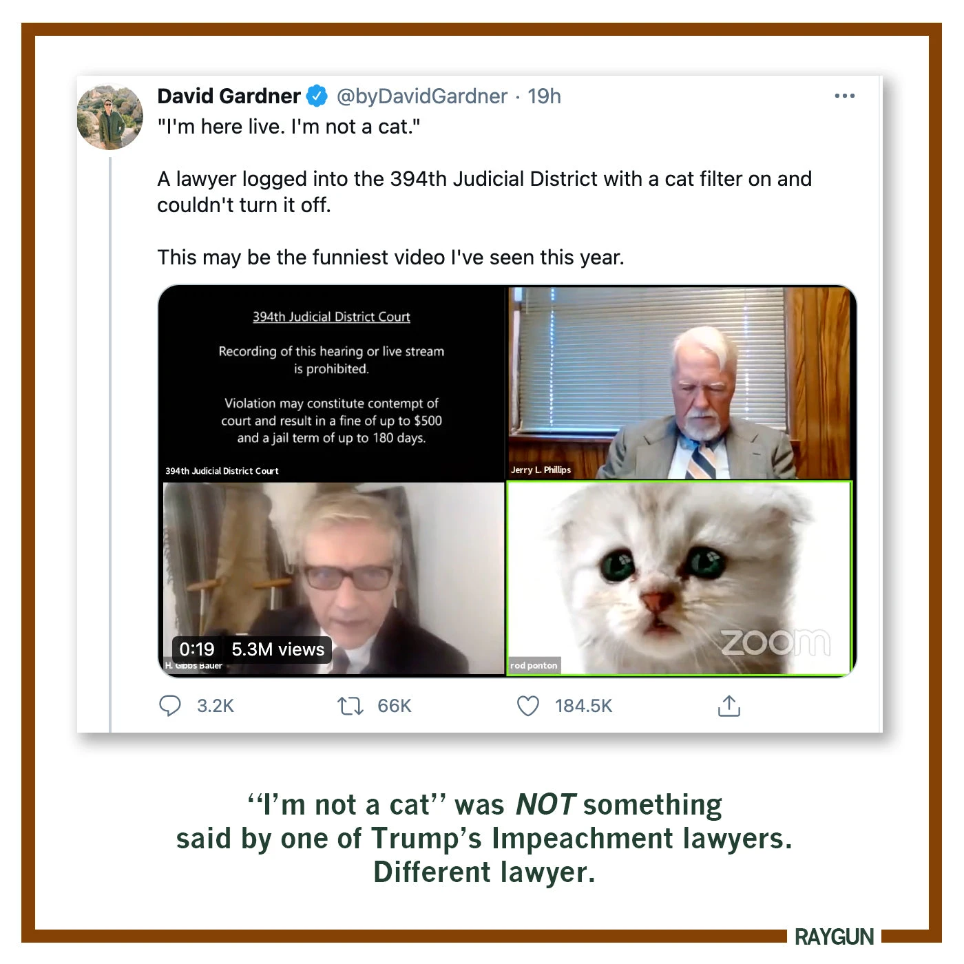 I'm Not A Cat Kids 4 I'm Not A Cat Kids - Image 2