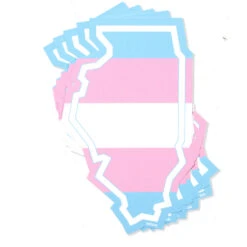 Illinois Outline Trans Flag Die-Cut Sticker