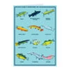 Midwestern Fish Greeting Card -Raygunsite Store MidwesternFishGreetingCard