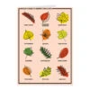 Midwestern Leaves Greeting Card -Raygunsite Store MidwesternLeavesGreetingCard