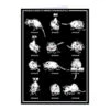 Midwestern Marsupials Greeting Card -Raygunsite Store MidwesternMarsipualsGreetingCard