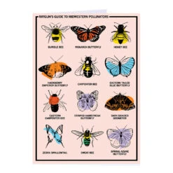 Midwestern Pollinators Greeting Card