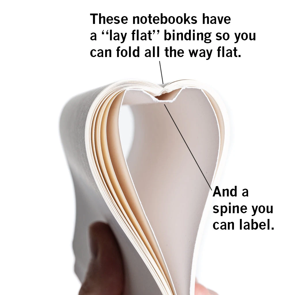 Things The Supreme Court Has Done Notebook 5 Things The Supreme Court Has Done Notebook - Image 3