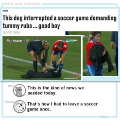 KC Soccercock 10 KC Soccercock -Raygunsite Store NGPRAYGUNCommentaryDogonsoccerfield 10c409d5 0907 4327 9600 1d8a39c2340b