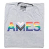 Ames Text Progress Pride Flag -Raygunsite Store ProgressPride Ames Text Folded