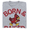Cyclones Born & Raised Vintage Grey 2 Cyclones Born & Raised Vintage Grey -Raygunsite Store RAYGUN BORN RAISED VINTAGECY FOLDED