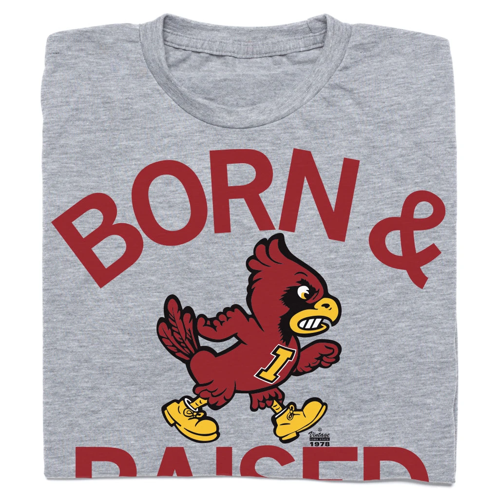 Cyclones Born & Raised Vintage Grey 3 Cyclones Born & Raised Vintage Grey