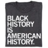Black History Is American History -Raygunsite Store RAYGUN BlackHistory American Folded