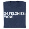 34 Felonies: Wow -Raygunsite Store RAYGUN34FeloniesWowShirtFolded