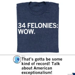 34 Felonies: Wow 15 34 Felonies: Wow -Raygunsite Store RAYGUN34FeloniesWowShirtPost