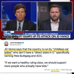 America Needs Cat Ladies 7 America Needs Cat Ladies -Raygunsite Store RAYGUNChildlessCatLadiesInfoPost