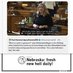 NE: It's A New Hell Every Day -Raygunsite Store RAYGUNCommentaryNebraskaFreshNewHell