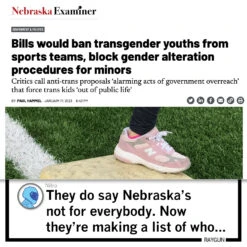 Pronouns! You Scared Bro? -Raygunsite Store RAYGUNCommentaryNebraskaTransLegislation