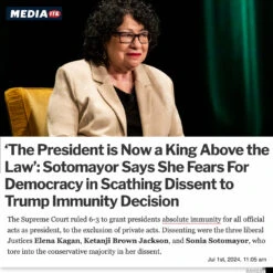 I Dissent -Raygunsite Store RAYGUNIDissentInfoPost