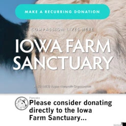 Phillever Pink 10 Phillever Pink -Raygunsite Store RAYGUNIowaFarmSanctuarydonation f1bed627 1da6 48fe b9e5 7563fa1b684b