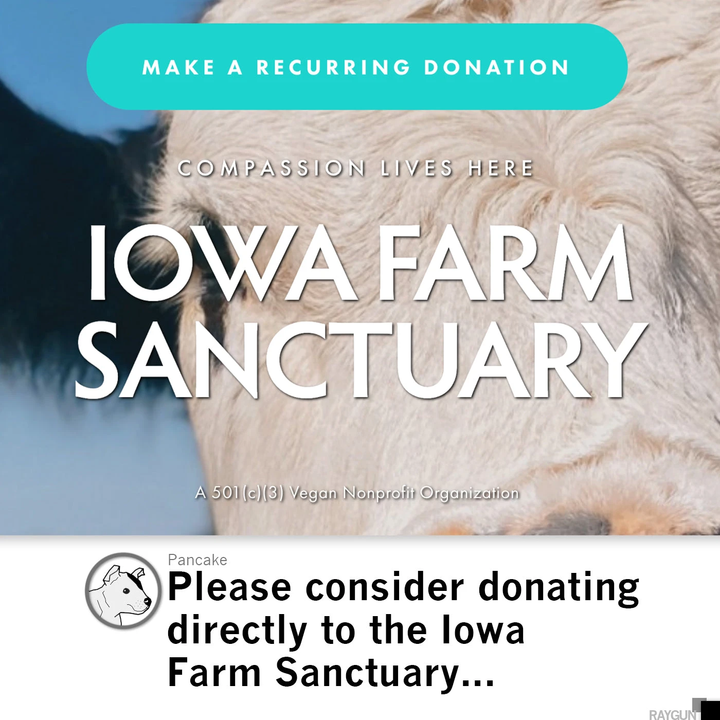 Phillever Pink 6 Phillever Pink - Image 4