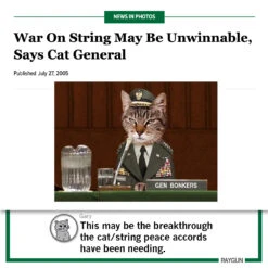 The Onion: War On String -Raygunsite Store RAYGUNSquareCatStringTheOnion