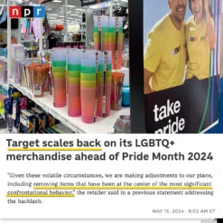 Queer Queen -Raygunsite Store RAYGUNTooGayforTargetPromo2