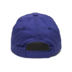 Dangerously Liberal Baseball Cap -Raygunsite Store RoyalBlue Back