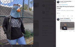 Sorry About Charles Grassley (R) -Raygunsite Store ScreenShot2020 10 19at8.52.42AM