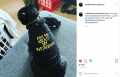Ask Me About My Instagram Dog Shirt -Raygunsite Store ScreenShot2021 07 05at8.02.07AM