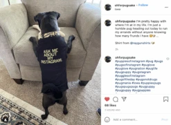 Ask Me About My Instagram Dog Shirt -Raygunsite Store ScreenShot2021 08 31at11.44.03AM