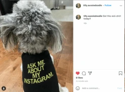 Ask Me About My Instagram Dog Shirt -Raygunsite Store ScreenShot2021 09 01at7.45.52AM