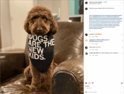 Dogs Are The New Kids Dog Bandana -Raygunsite Store ScreenShot2022 01 20at9.30.58AM