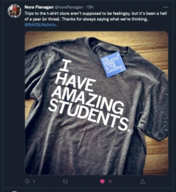 I Have Amazing Students -Raygunsite Store ScreenShot2022 05 30at7.30.49AM