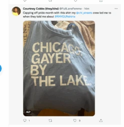 Chicago: Gayer By The Lake Tank Top -Raygunsite Store ScreenShot2022 06 30at11.26.29AM