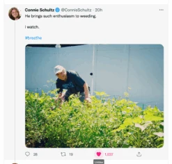 Midwest: Hell Yes -Raygunsite Store ScreenShot2022 07 11at7.25.41AM