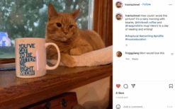 Cat To Be Kitten Me Mug 7 Cat To Be Kitten Me Mug -Raygunsite Store ScreenShot2022 07 11at8.14.32AM