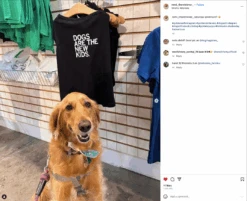 Dogs Are The New Kids Dog Shirt -Raygunsite Store Screenshot2023 07 10at9.28.25AM