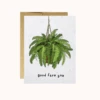 Party Mountain: Good Fern You Plantable Greeting Card 2 Party Mountain: Good Fern You Plantable Greeting Card -Raygunsite Store Screenshot2024 02 29at1.57.17PM